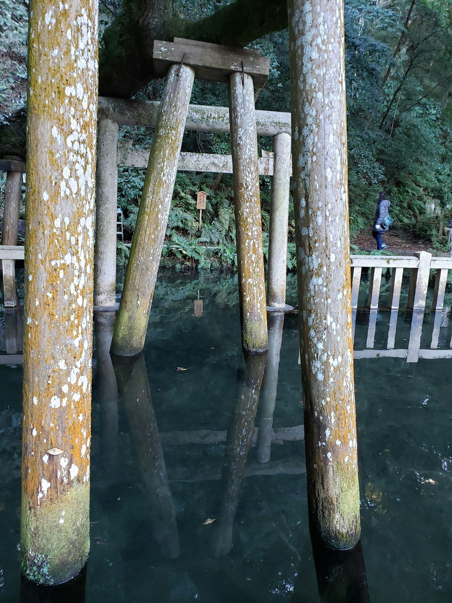Antico torii riflesso nell'acqua con colonne di legno e natura circostante