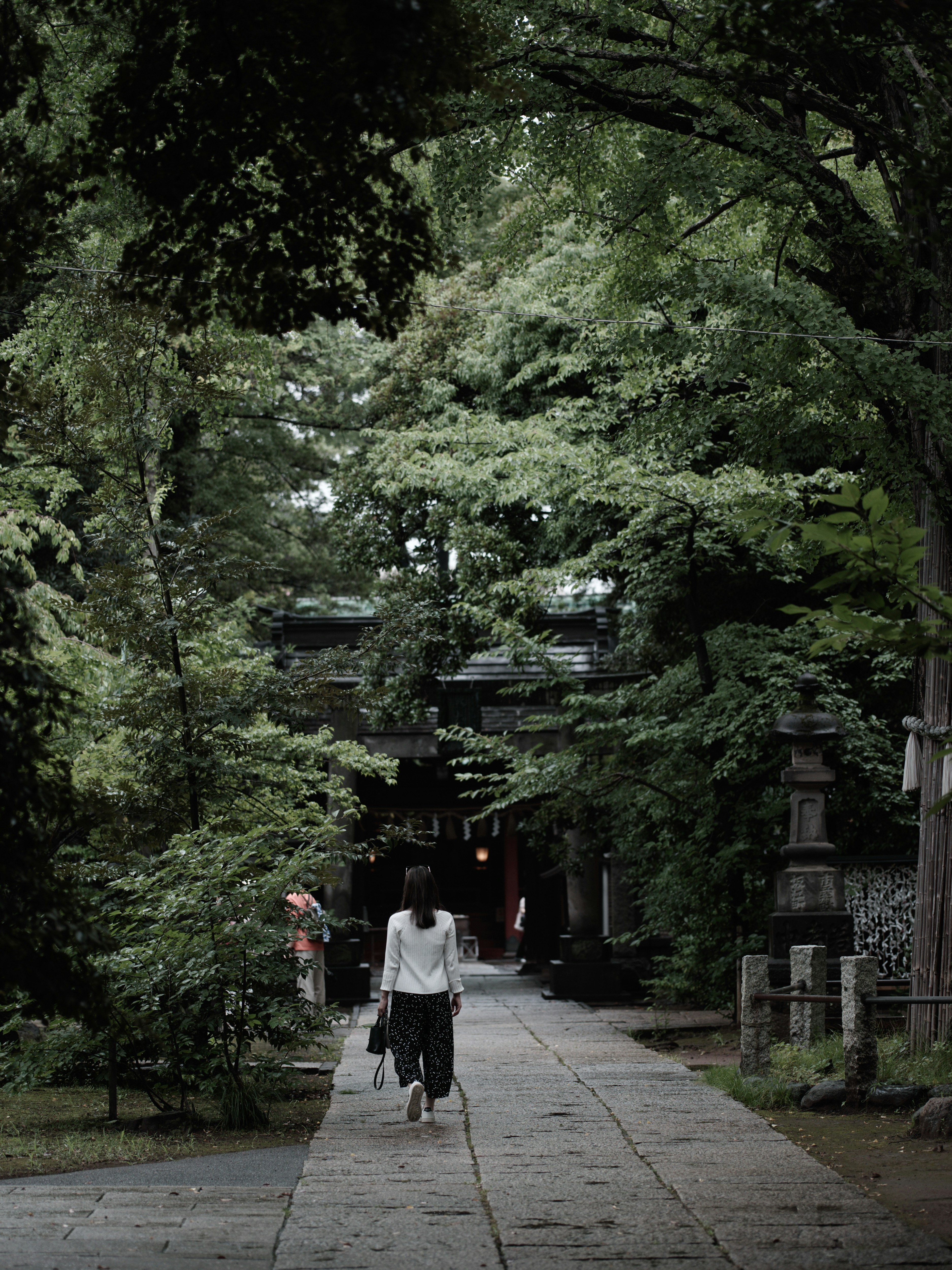 緑が茂る参道の石畳と鳥居のある神社の風景