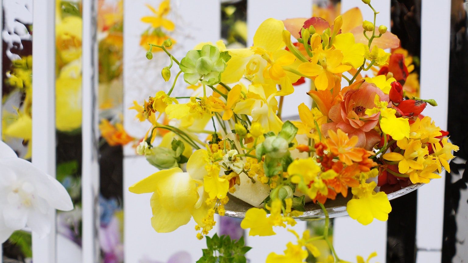 Un bouquet vibrant de fleurs jaunes et oranges devant une clôture blanche