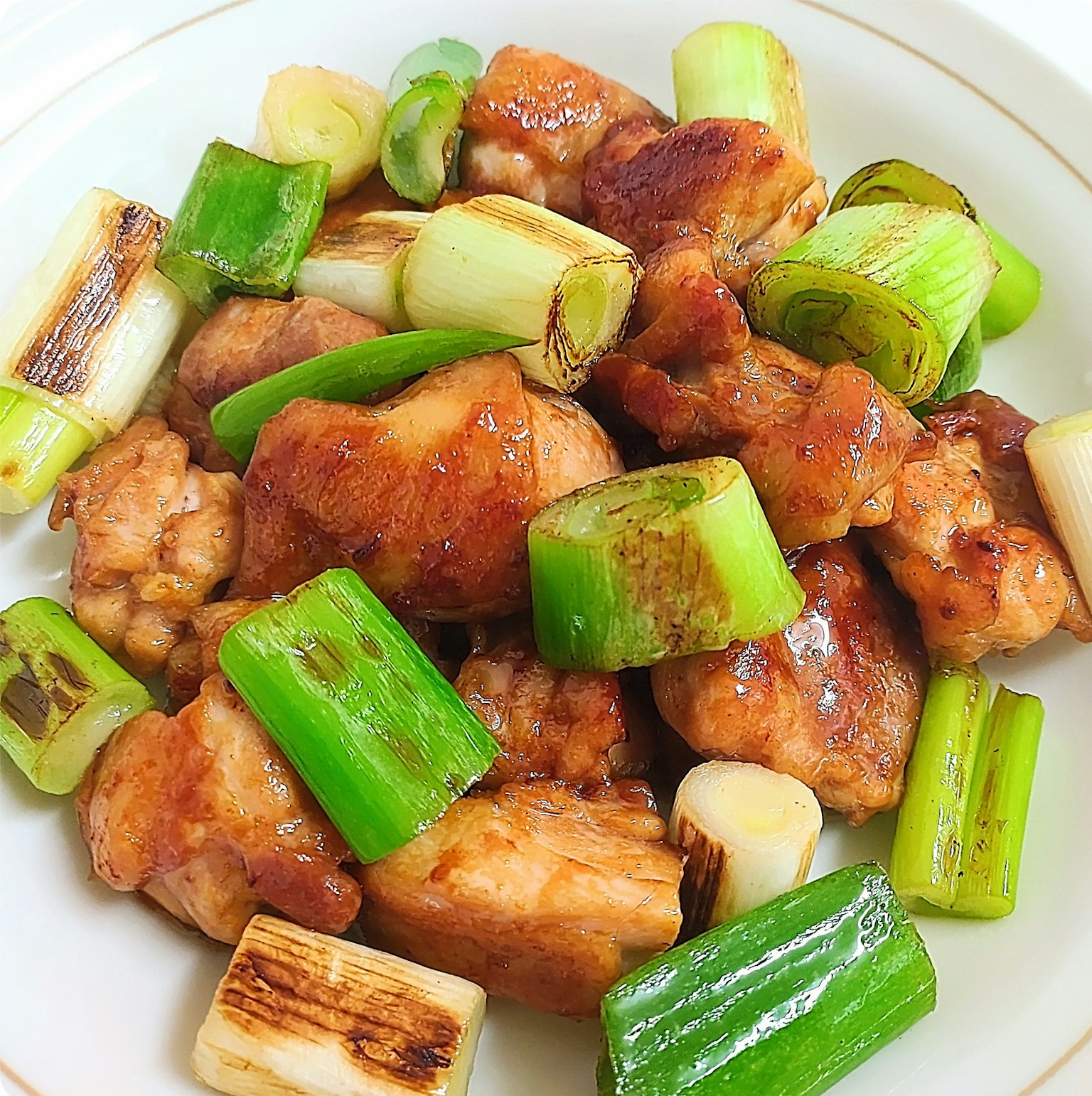 Piatto di pollo e cipolle verdi splendidamente impiattato