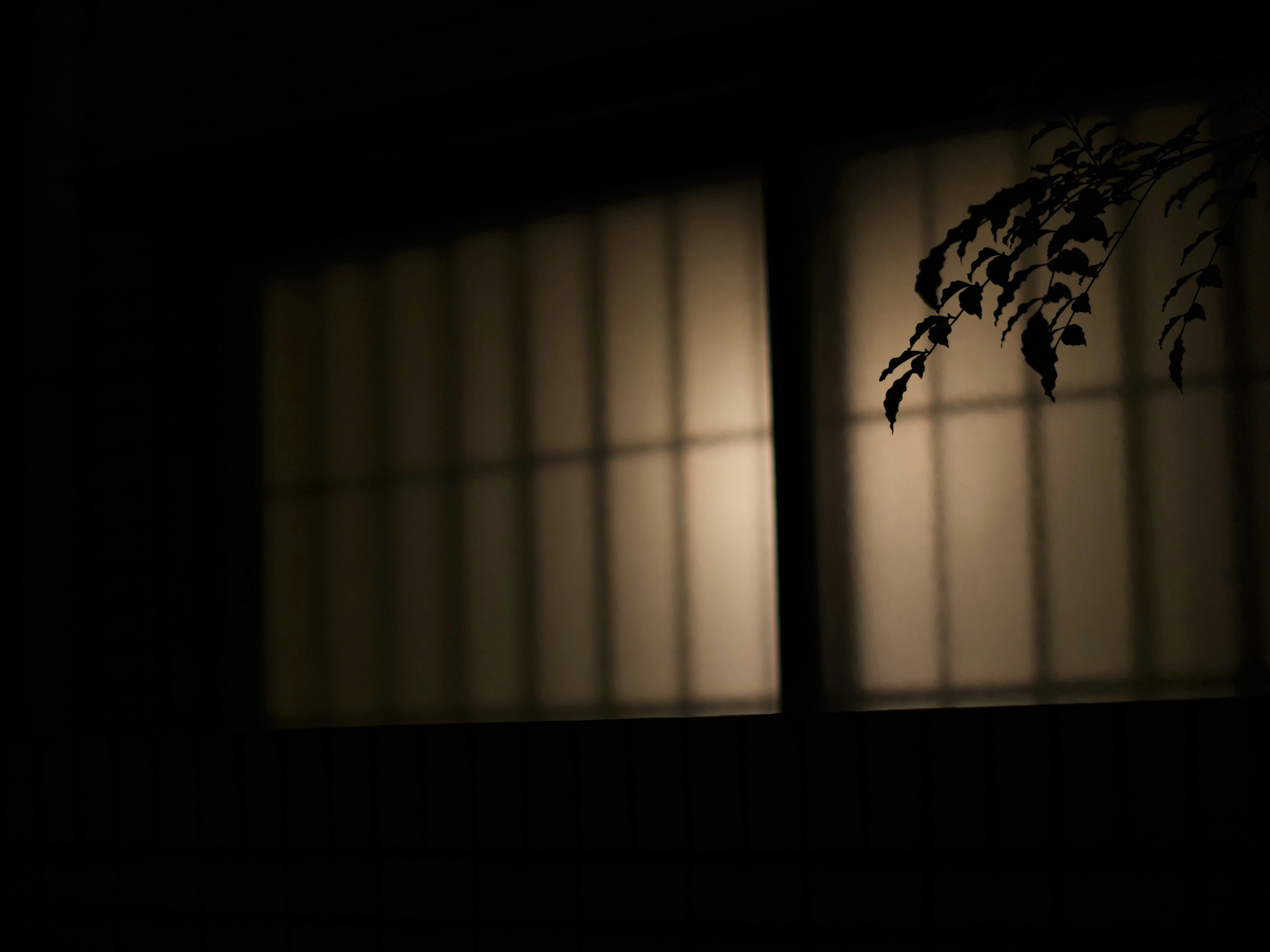 余白のある暗がりの窓辺に差す灯りと影