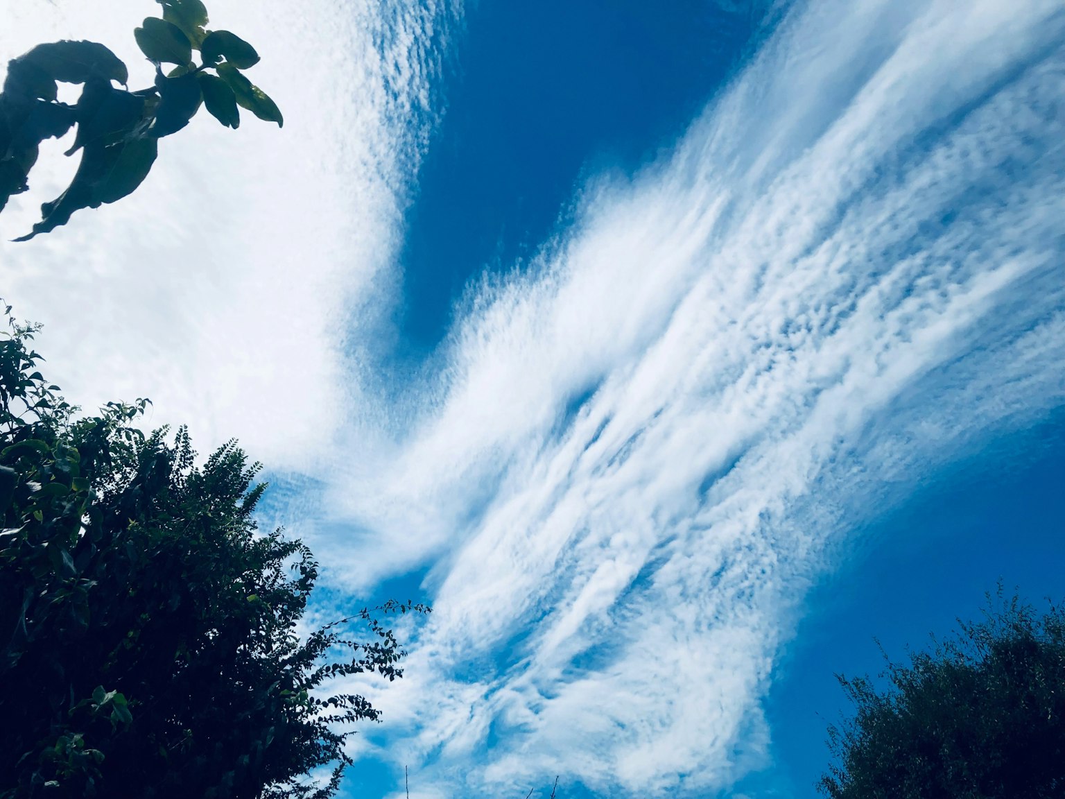 Une vue scénique du ciel bleu avec des nuages blancs