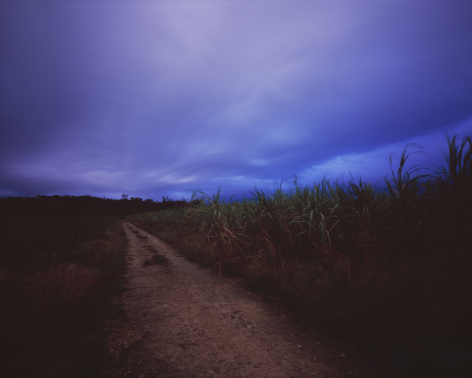 Paysage de crépuscule avec un chemin en terre et un ciel bleu