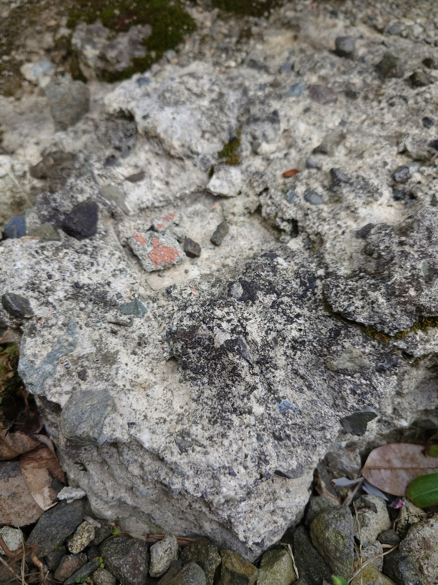 Superficie rocosa texturizada con varios minerales y piedras
