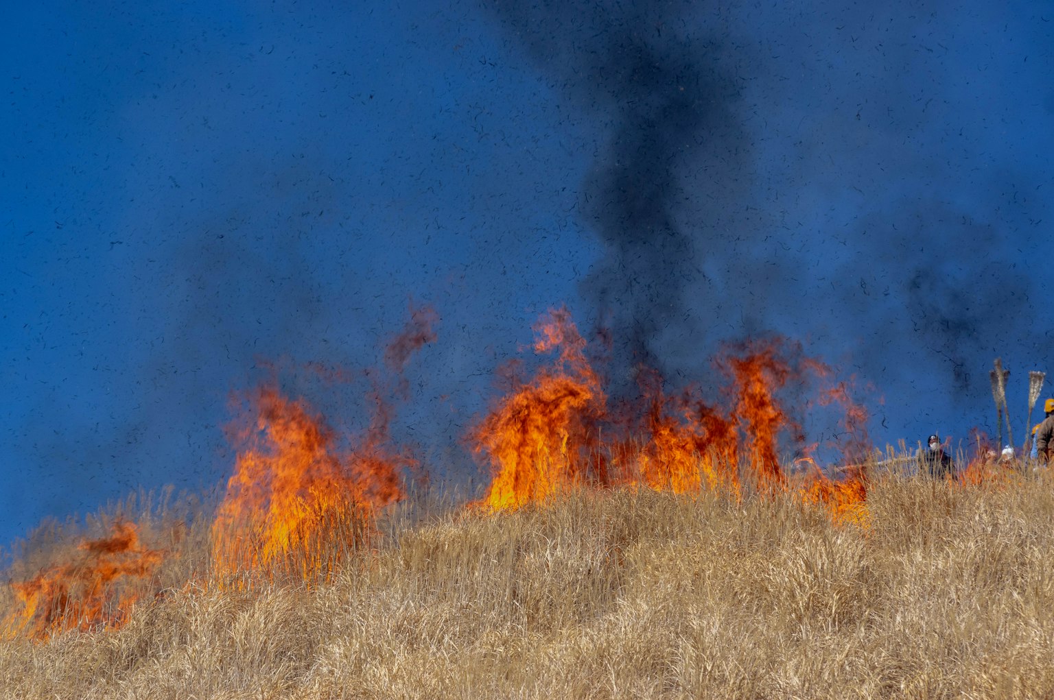 Flammen, die einen bewachsenen Hügel unter einem blauen Himmel umgeben