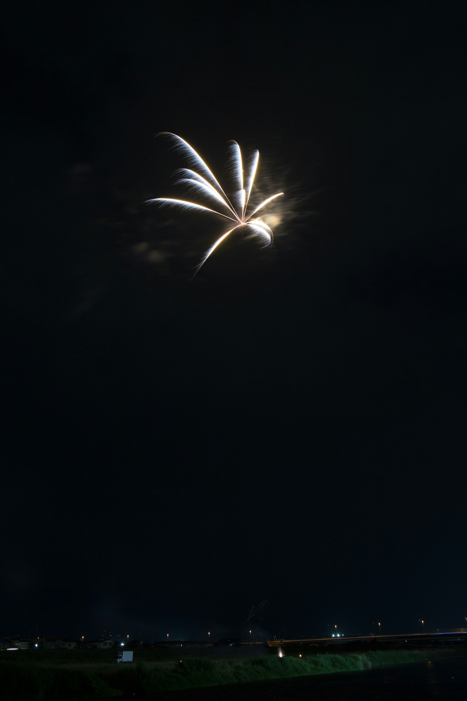 夜空中绽放的美丽烟花表演