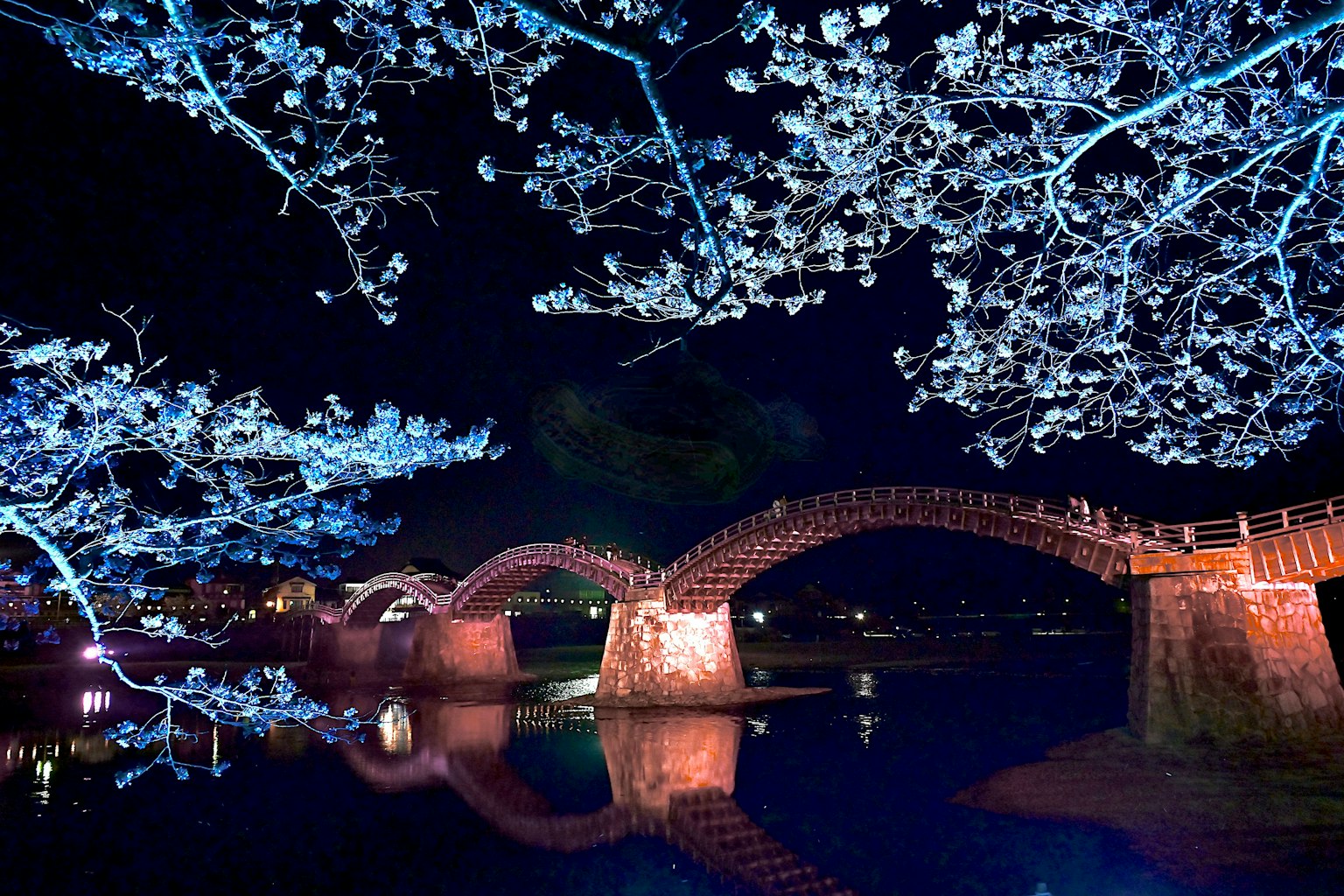 ทิวทัศน์กลางคืนที่สวยงามของดอกซากุระและสะพาน