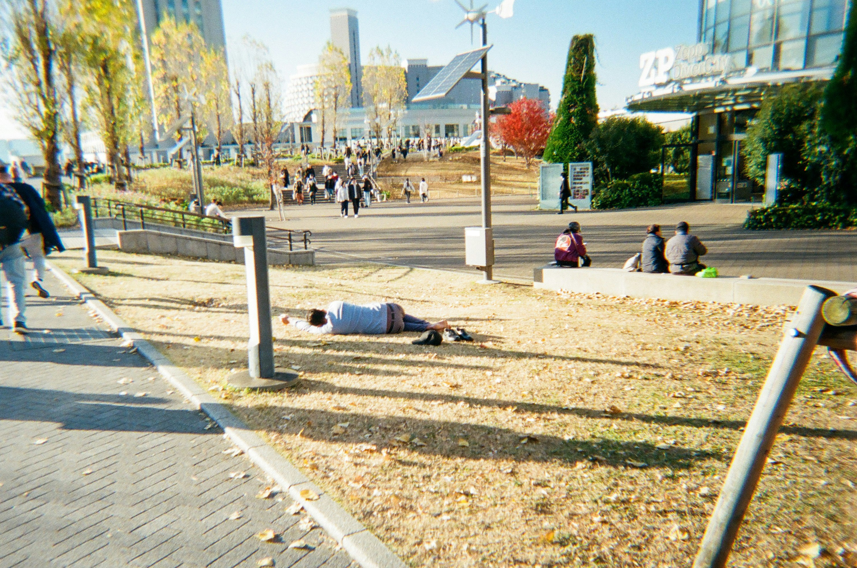 城市公园草坪与步道、长椅