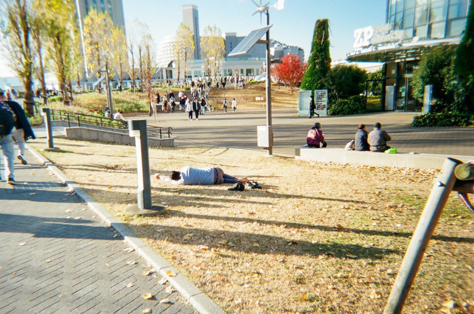 가을 나무가 있는 공원에서 쉬고 있는 사람들