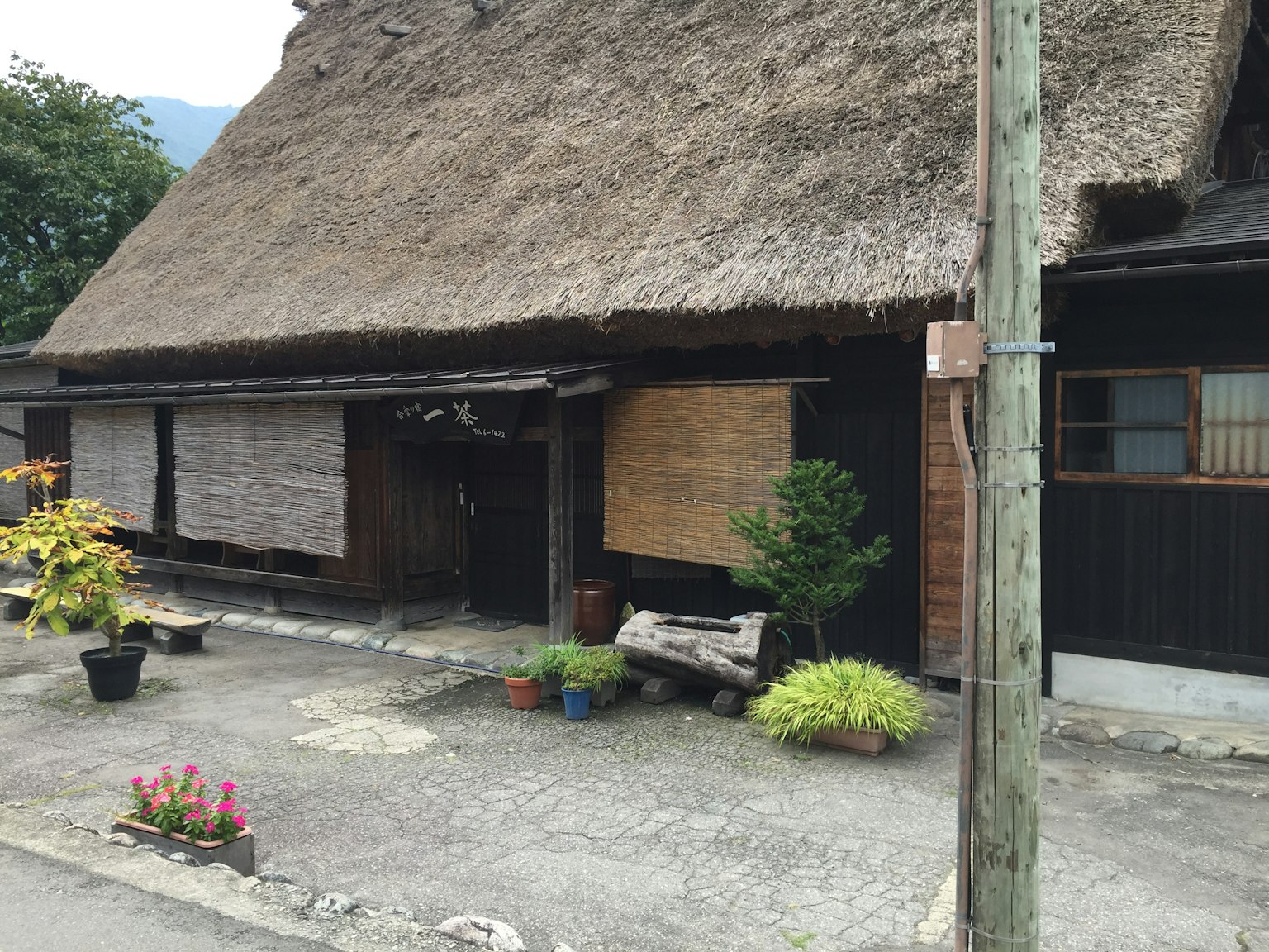 Maison japonaise traditionnelle avec toit de chaume et plantes en pot