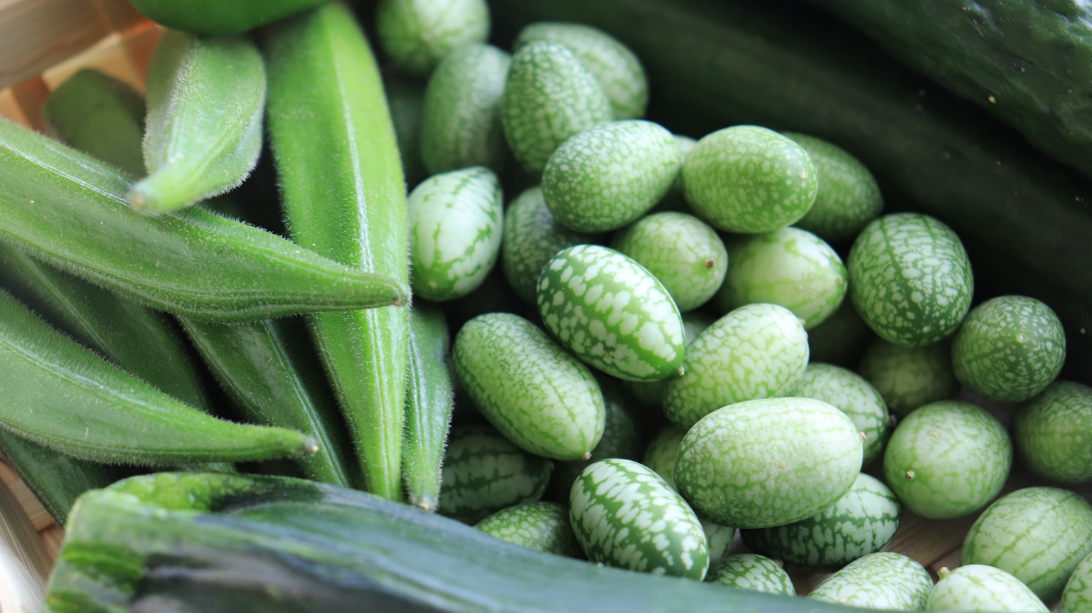 A collection of green vegetables including okra cucumbers and mini cucumbers