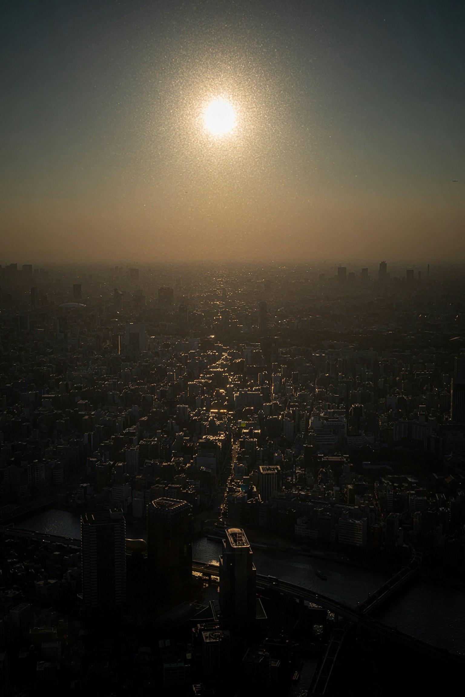 東京の夕日が映る都市の風景 高層ビルと川が見える