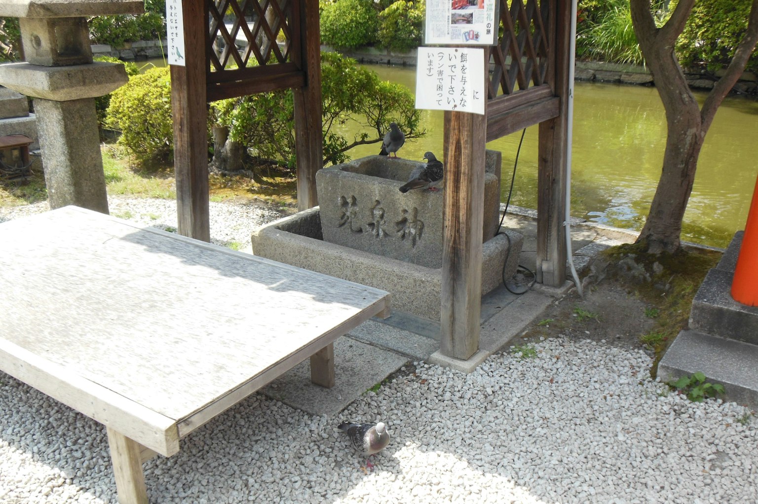 Quiet park scene featuring a water basin and wooden table