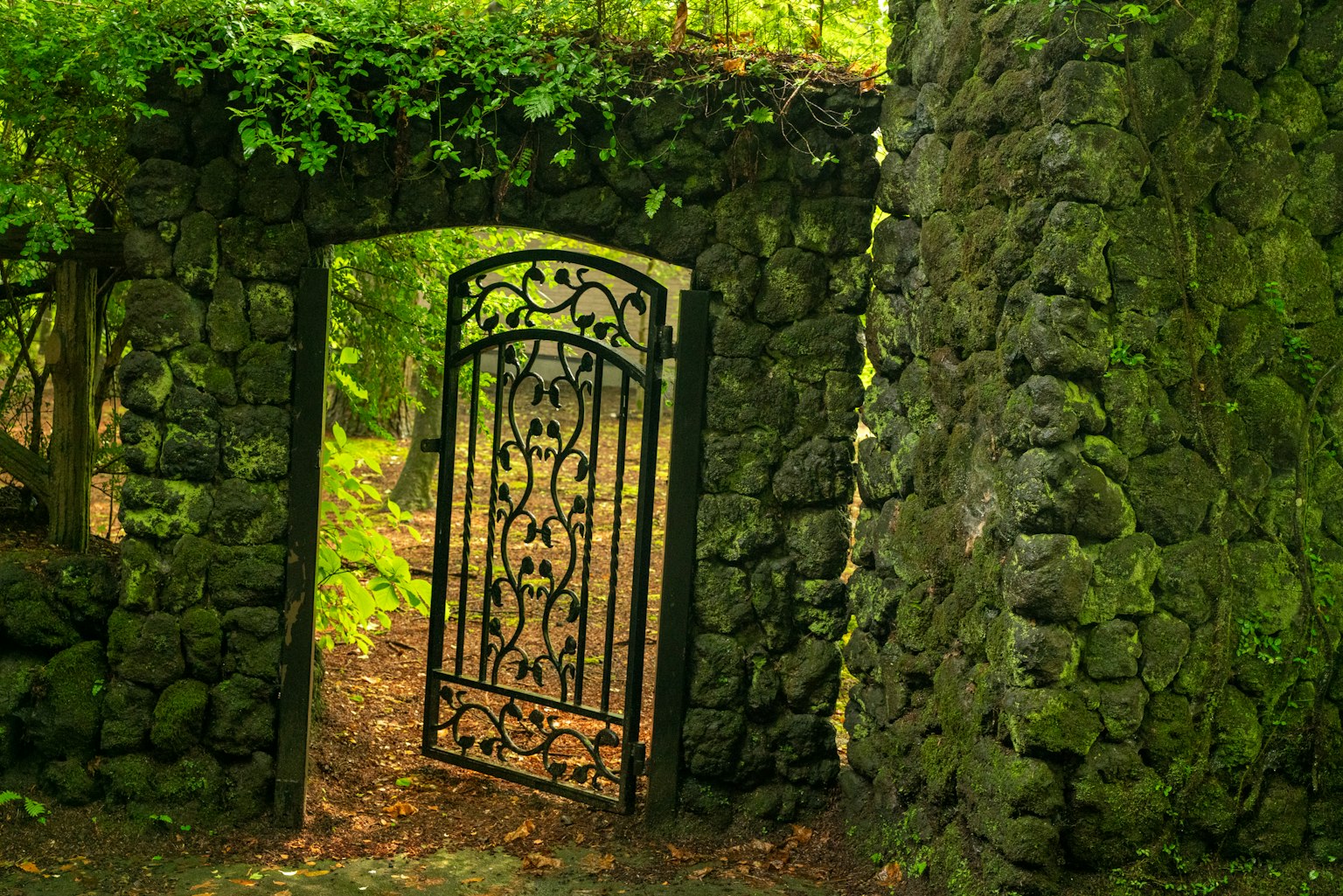 Antigua puerta de piedra con puerta de hierro ornamentada rodeada de vegetación