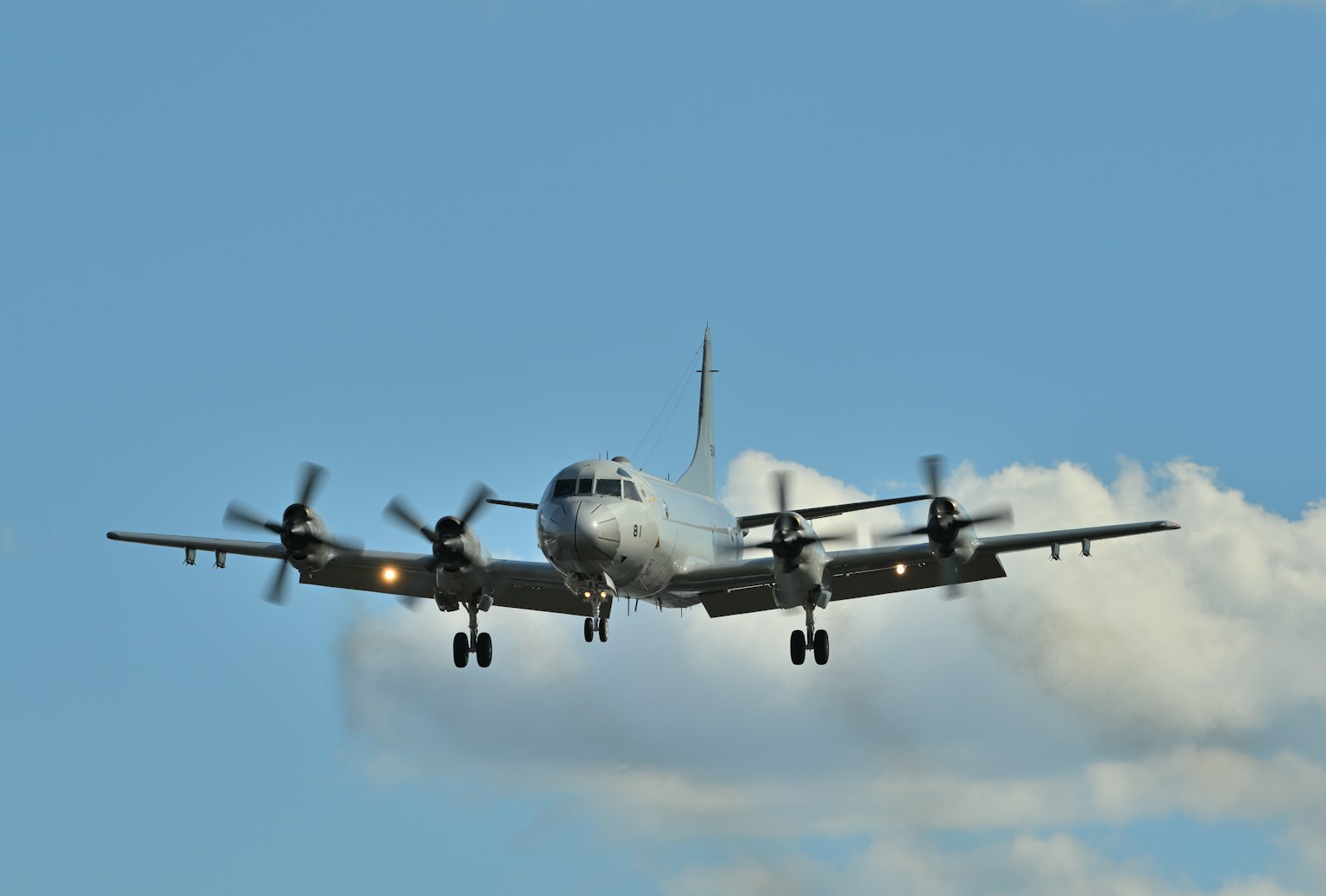 Un aereo che vola contro un cielo blu