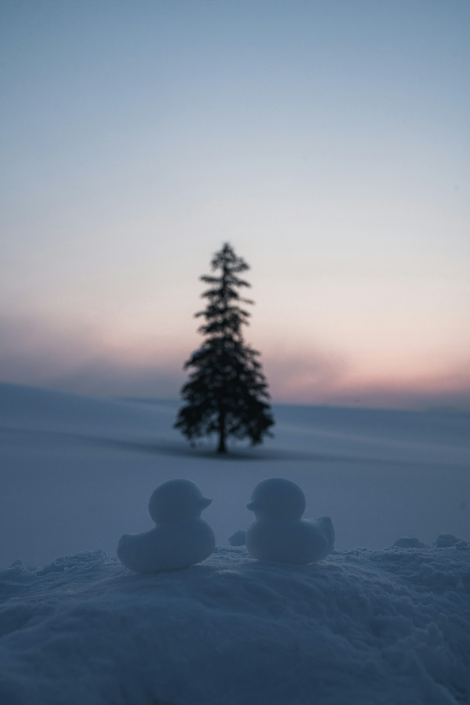 雪中两个人影与背景中的树在黄昏时分