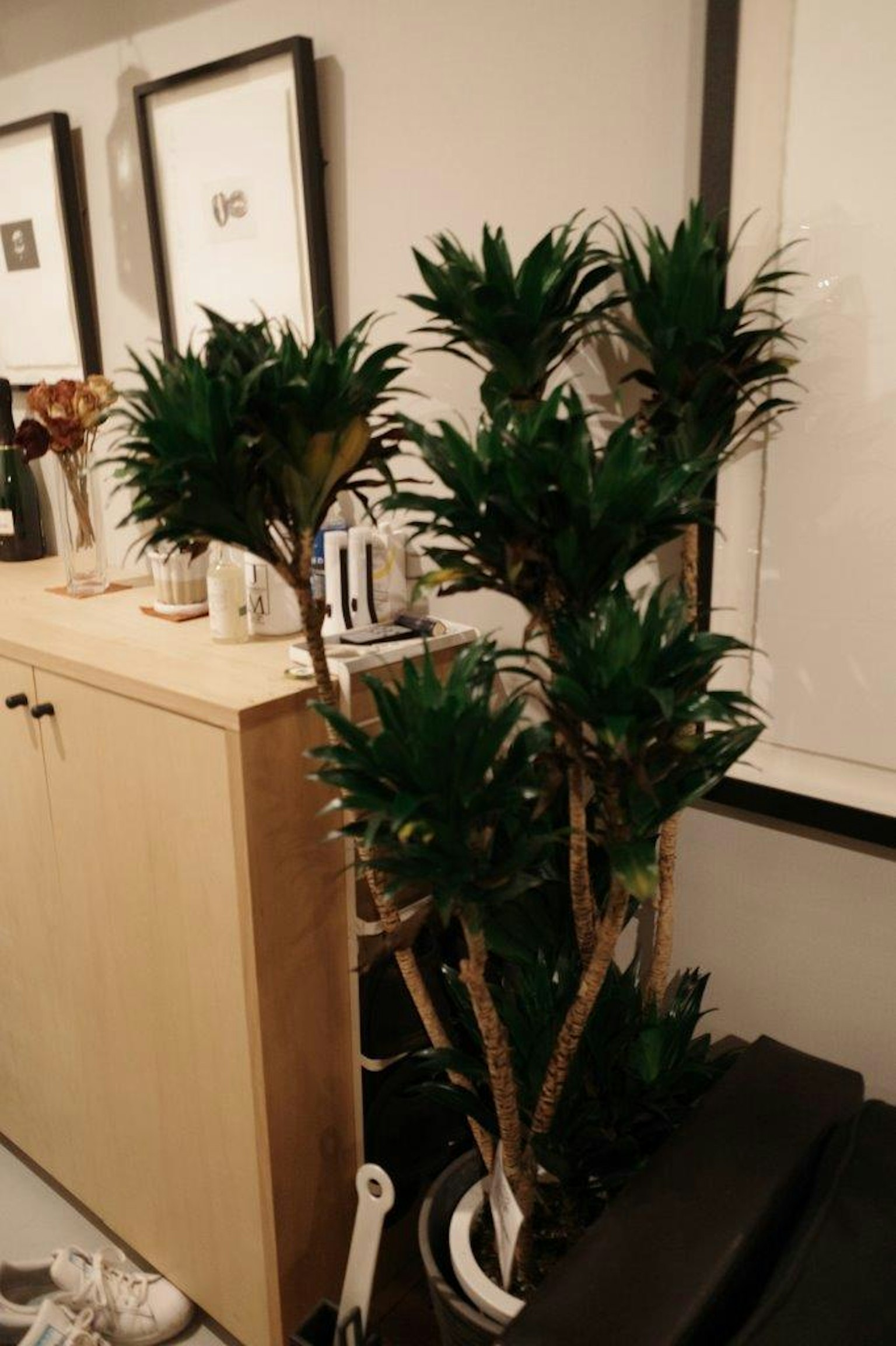 Artificial potted plant in a modern interior setting