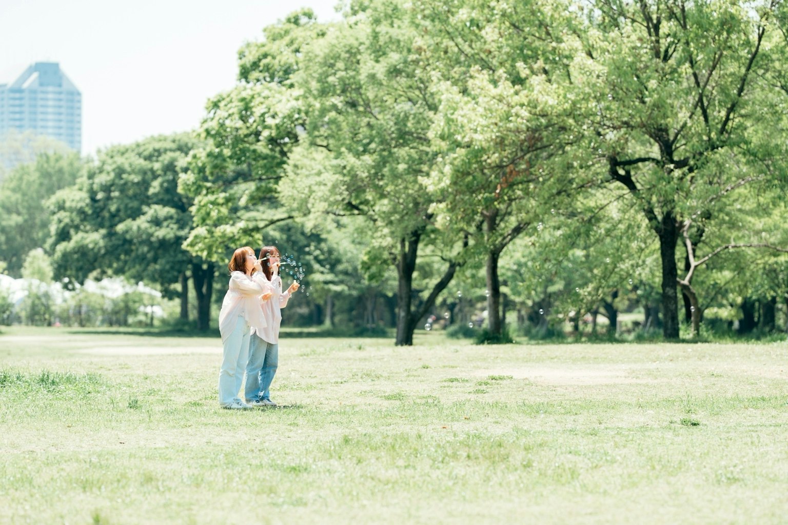 공원에서 즐거운 시간을 보내는 커플 울창한 나무와 넓은 잔디로 둘러싸인