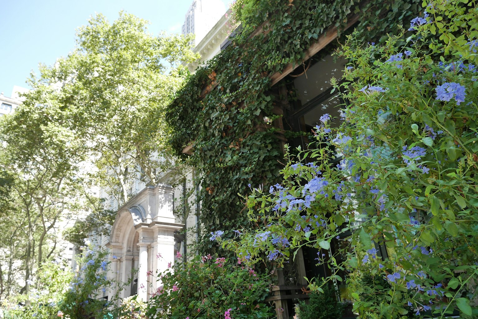 Fachada de un edificio rodeada de flores azules y hojas verdes