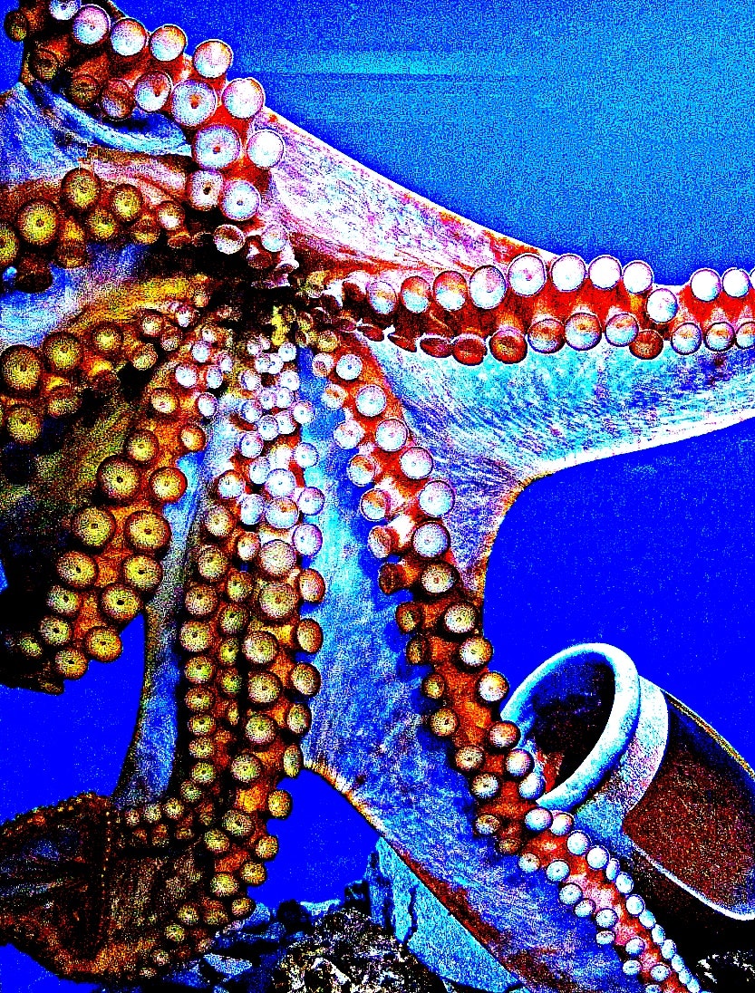 青い海と波の上に浮かぶタコのような海の生き物