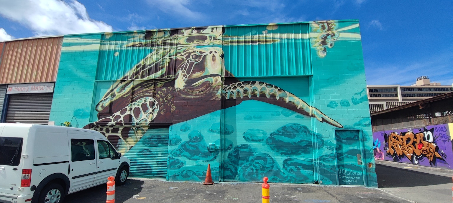 Mural indah kura-kura laut di eksterior bangunan dengan latar belakang biru dan kehidupan laut