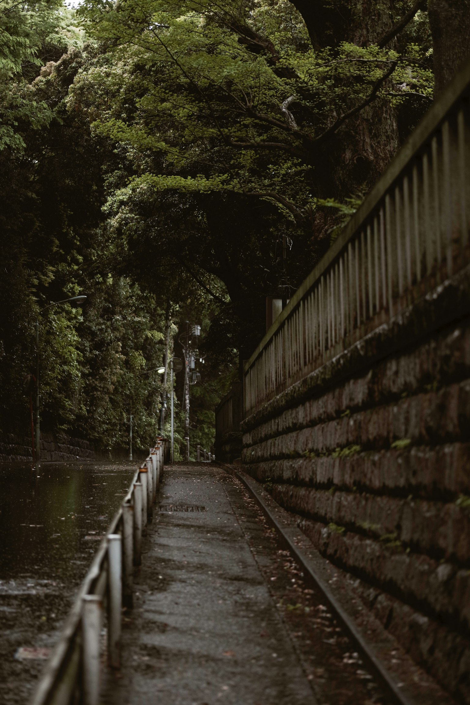 A serene pathway surrounded by greenery and a stone wall
