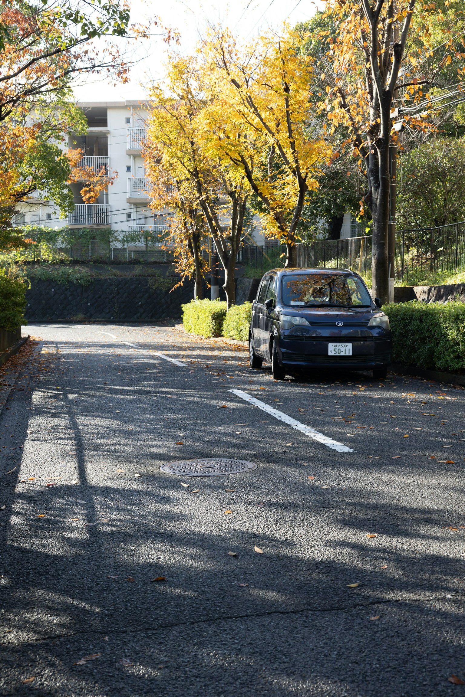 A black car parked on a quiet road surrounded by autumn trees