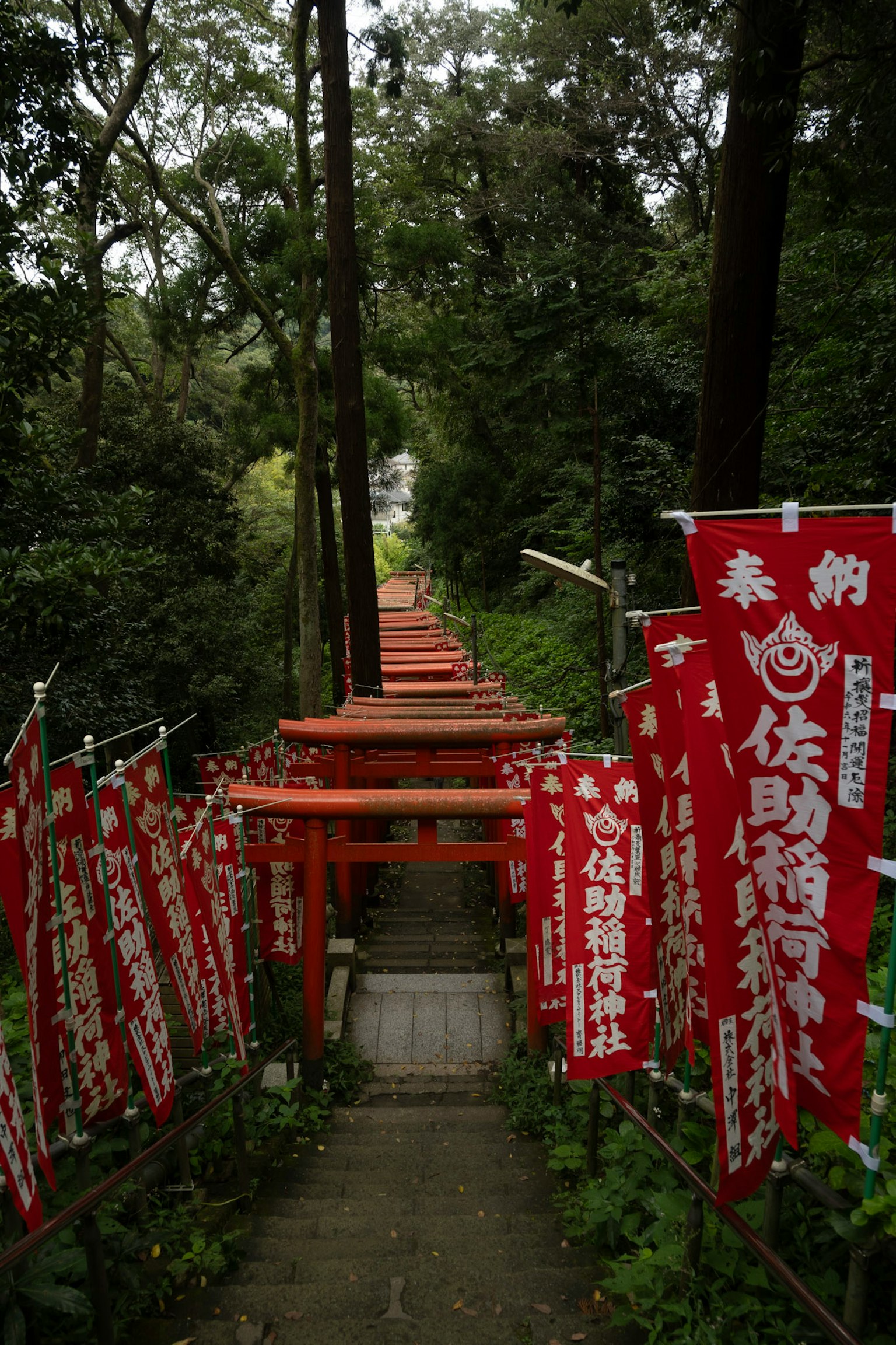 A pathway lined with red banners leading up a shrine surrounded by lush greenery