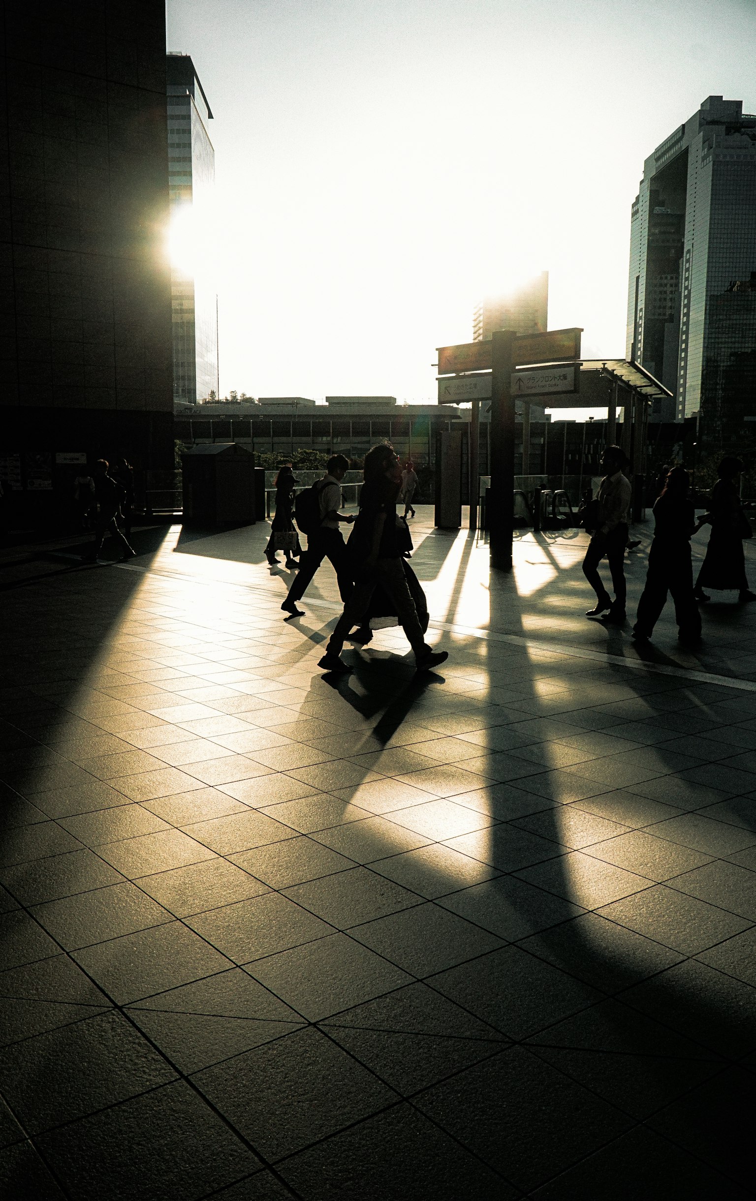 Silhouetten von Menschen, die mit langen Schatten gegen den Sonnenuntergang gehen