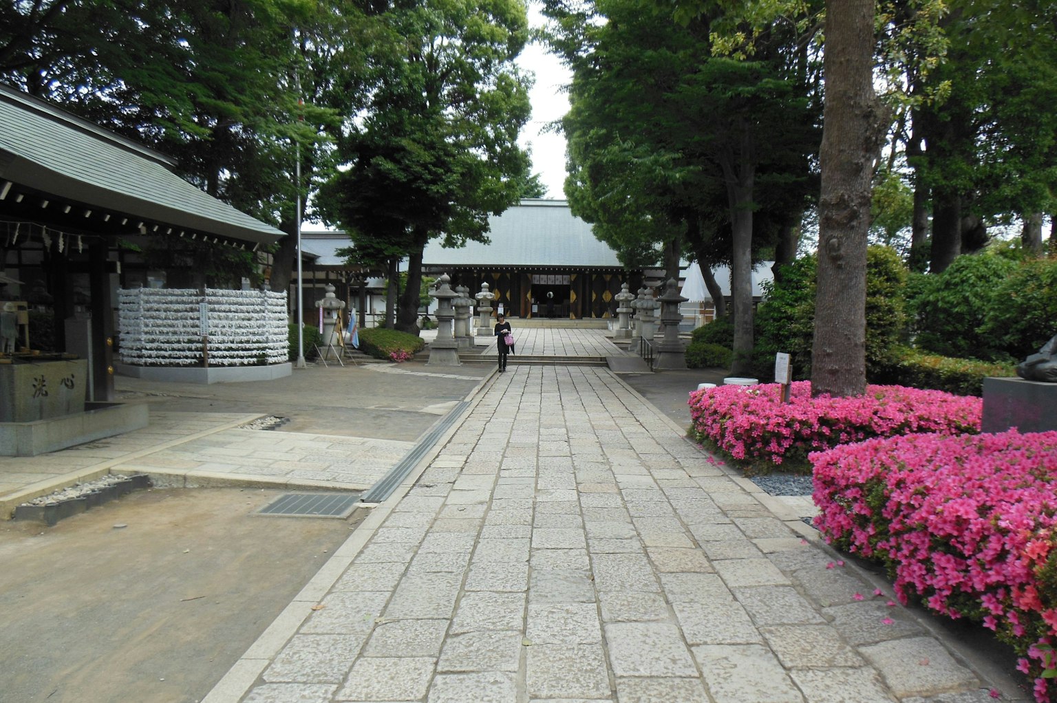 通往神社的風景小徑，周圍環繞著郁郁蔥蔥的綠樹和鮮豔的花朵
