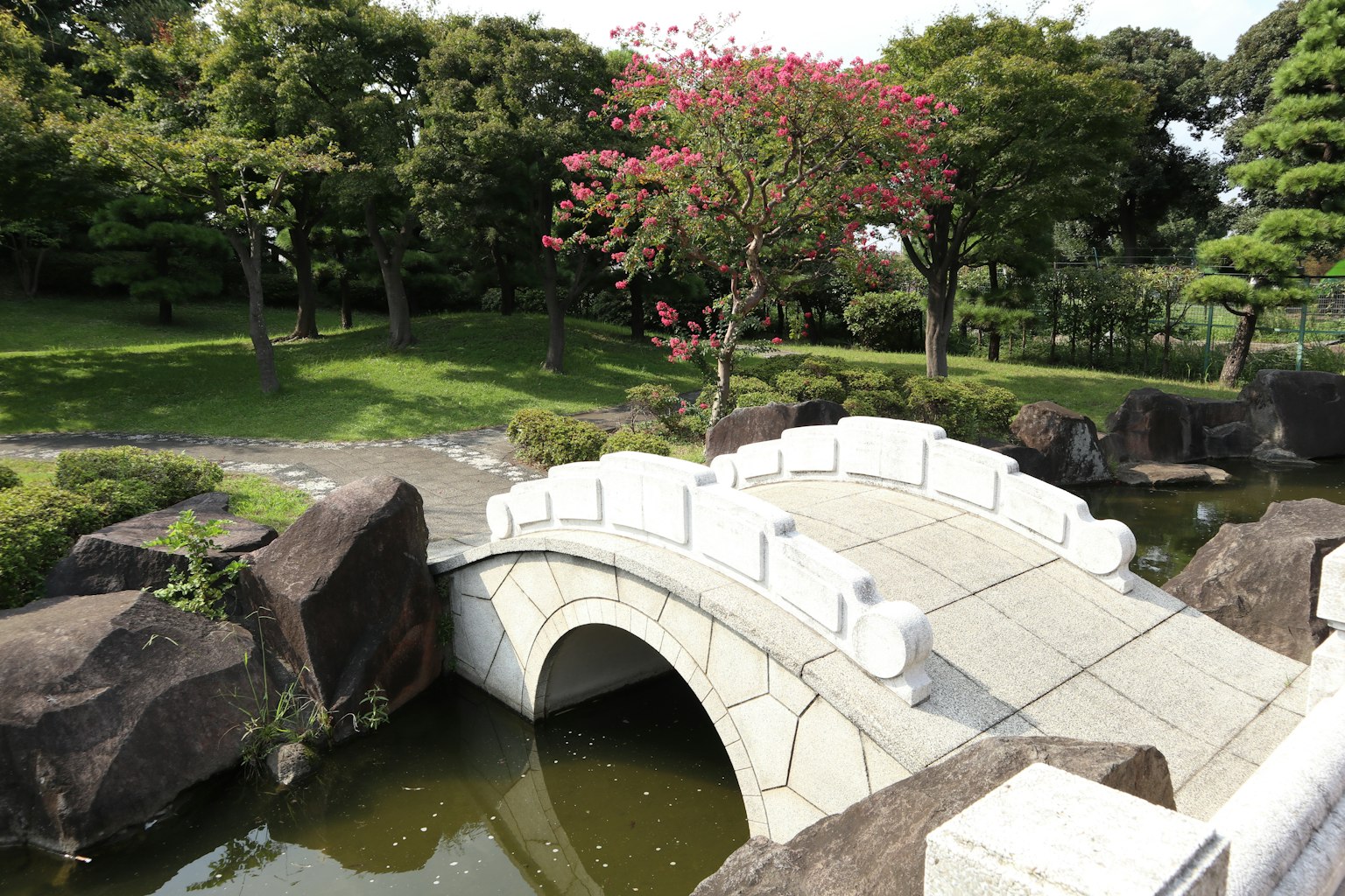 Eine weiße Bogenbrücke in einem schönen japanischen Garten umgeben von grünen Bäumen