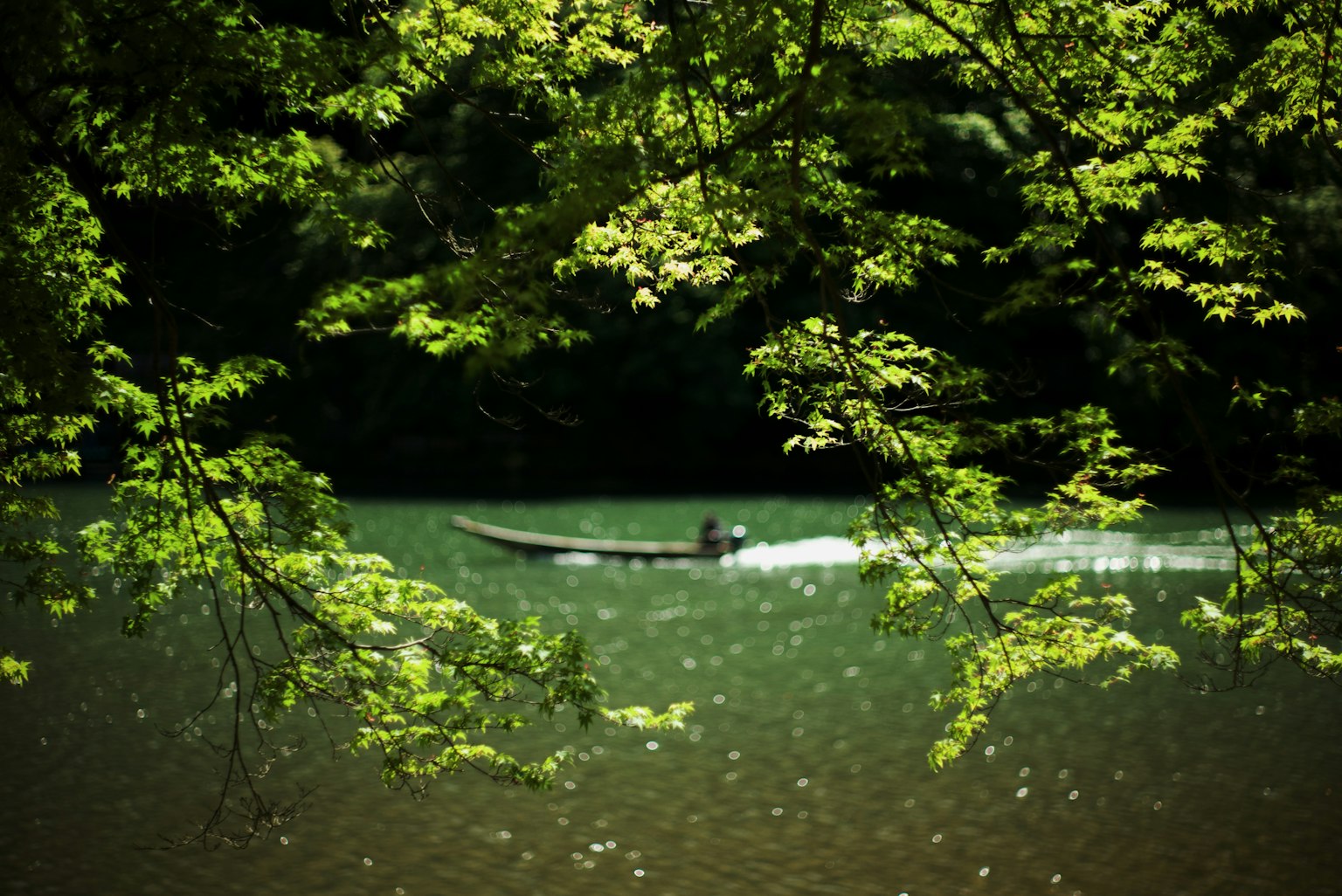 photo-6lZfMe2pWh07JUmffYvy-image