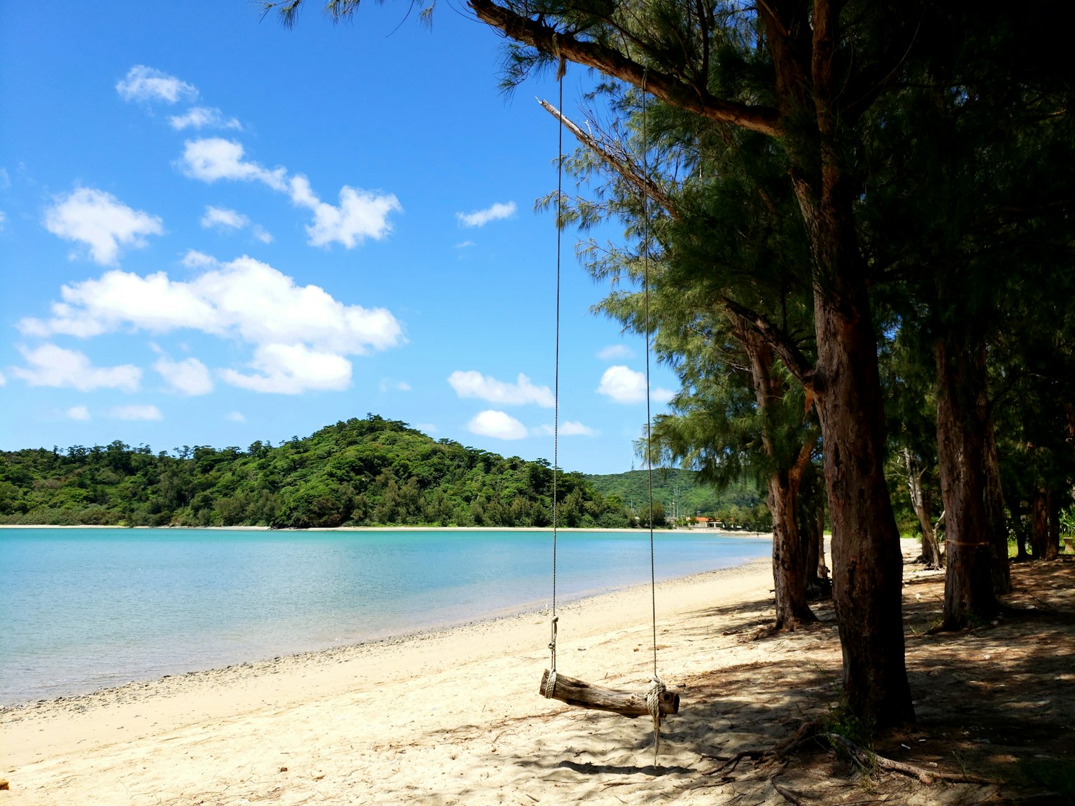 Escena de playa bajo un cielo azul con nubes blancas Columpio colgando entre palmeras Colinas verdes de fondo
