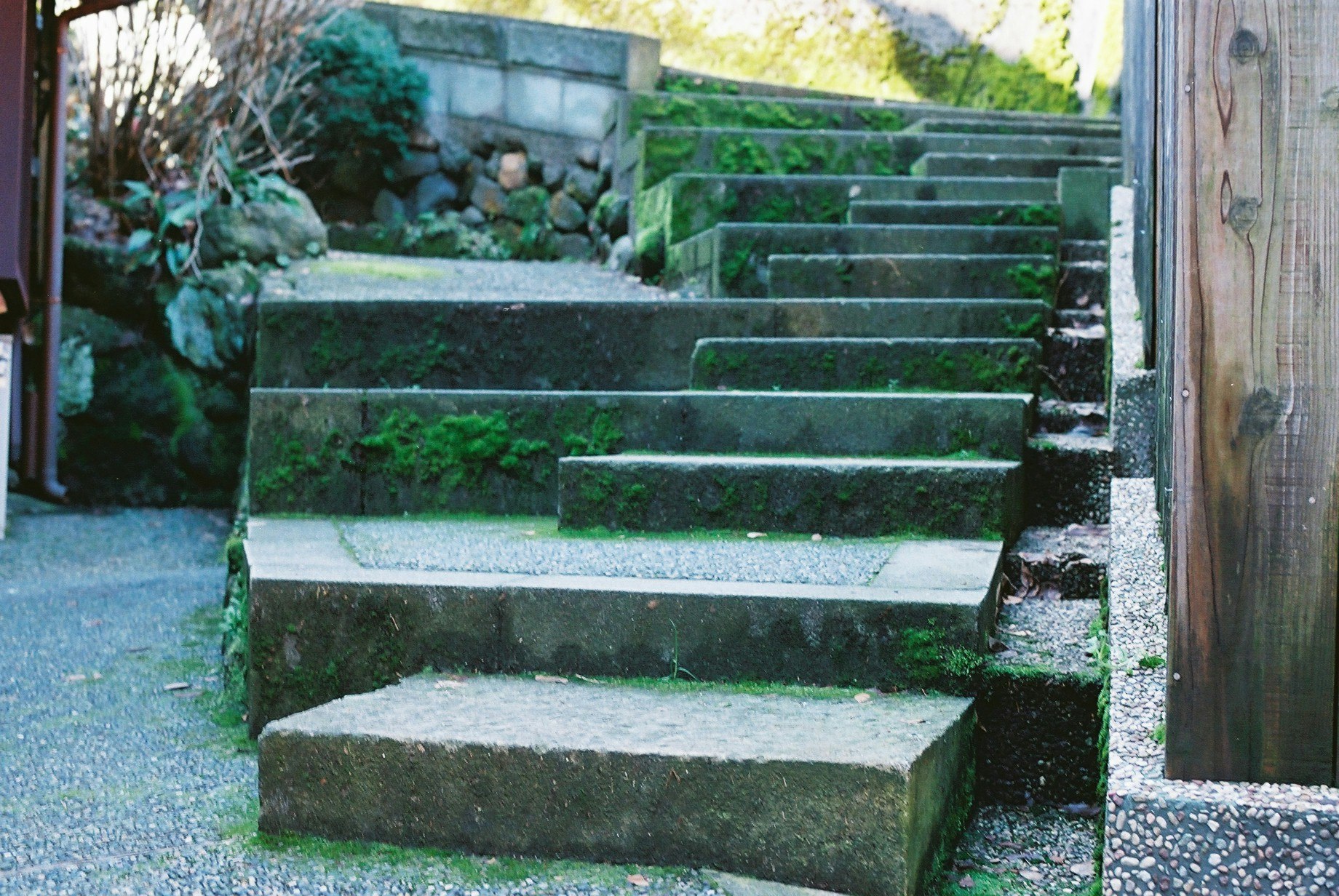 石の階段と苔むしたベンチのある庭の小道