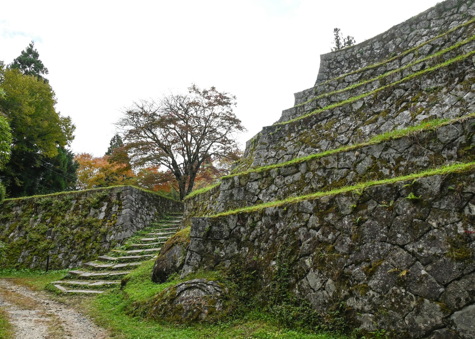 Escaleras de piedra que conducen a ruinas antiguas con muros en terrazas y vegetación