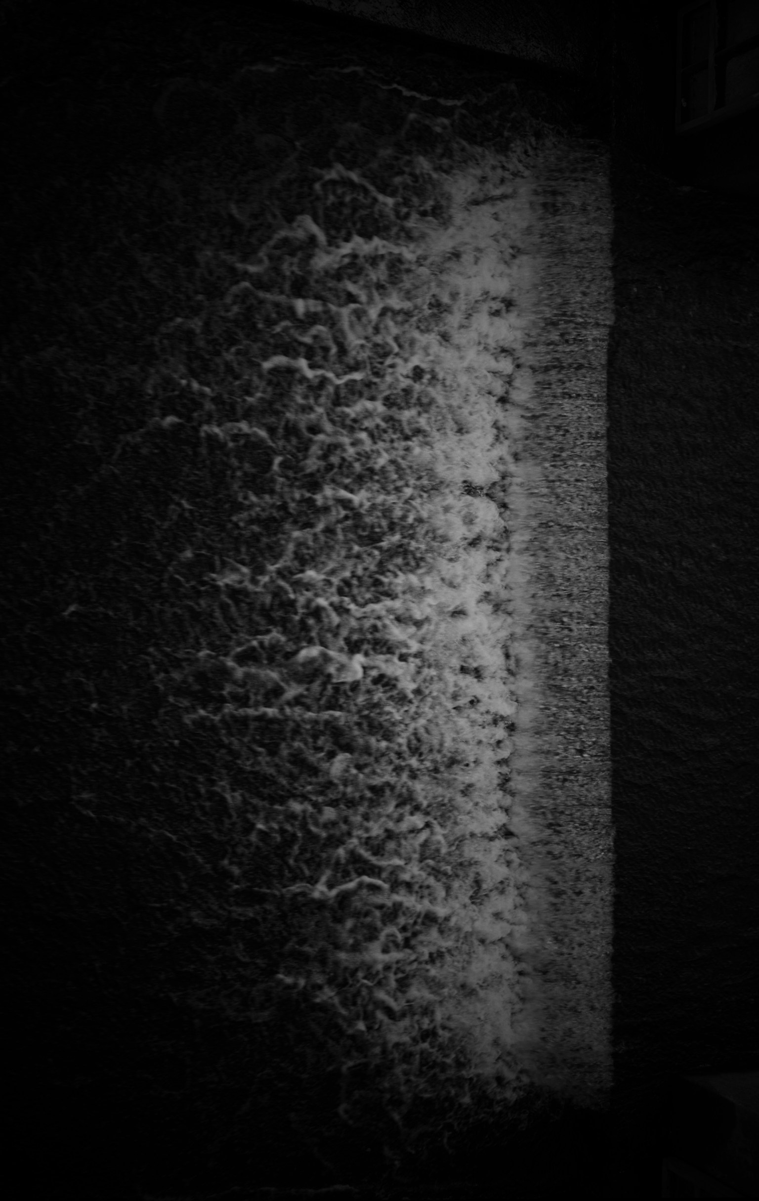 photo-6mlBH2ZFwMLggKHooXTK-image