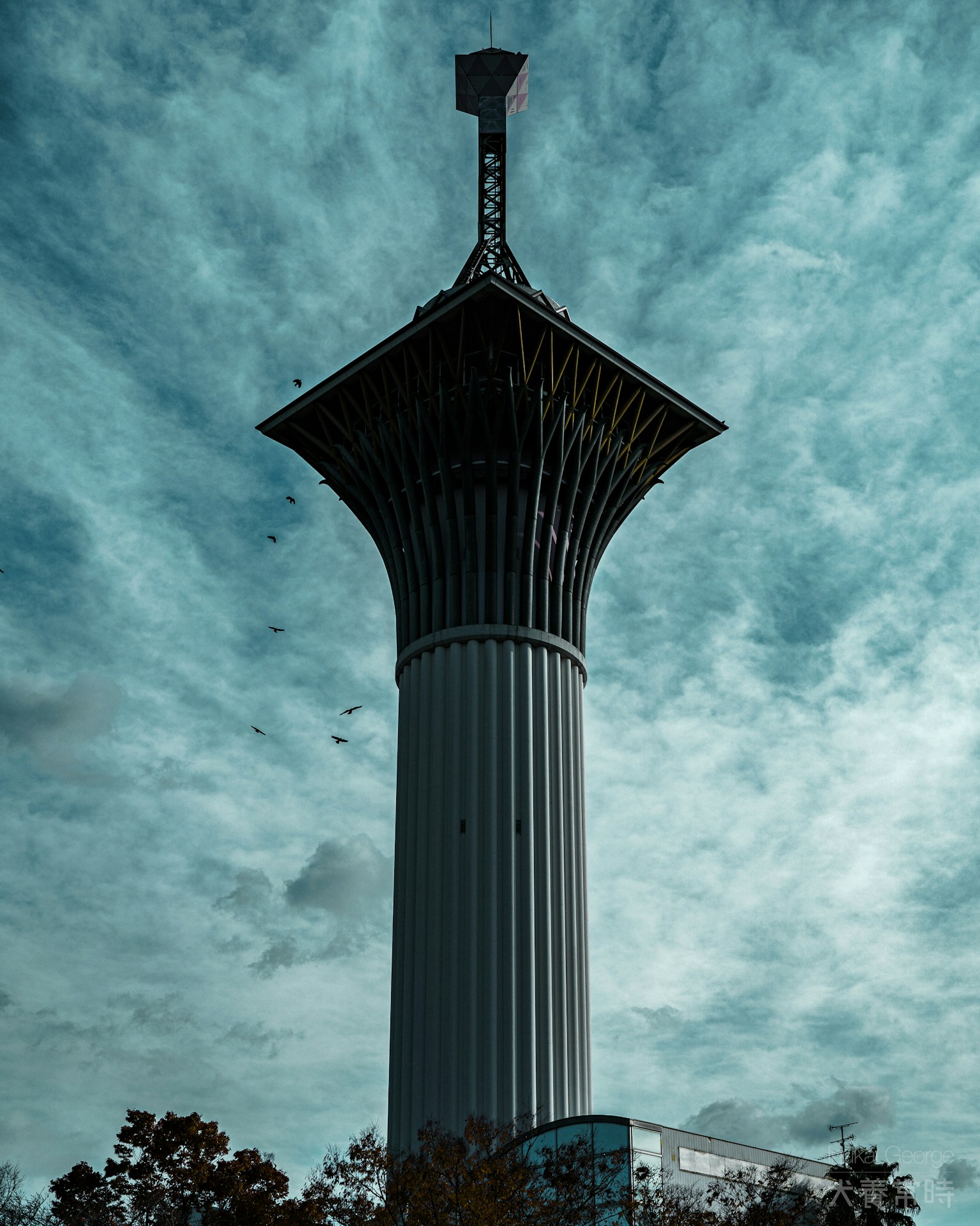 photo-6mqPNrK0dntrRDrwW1wB-image