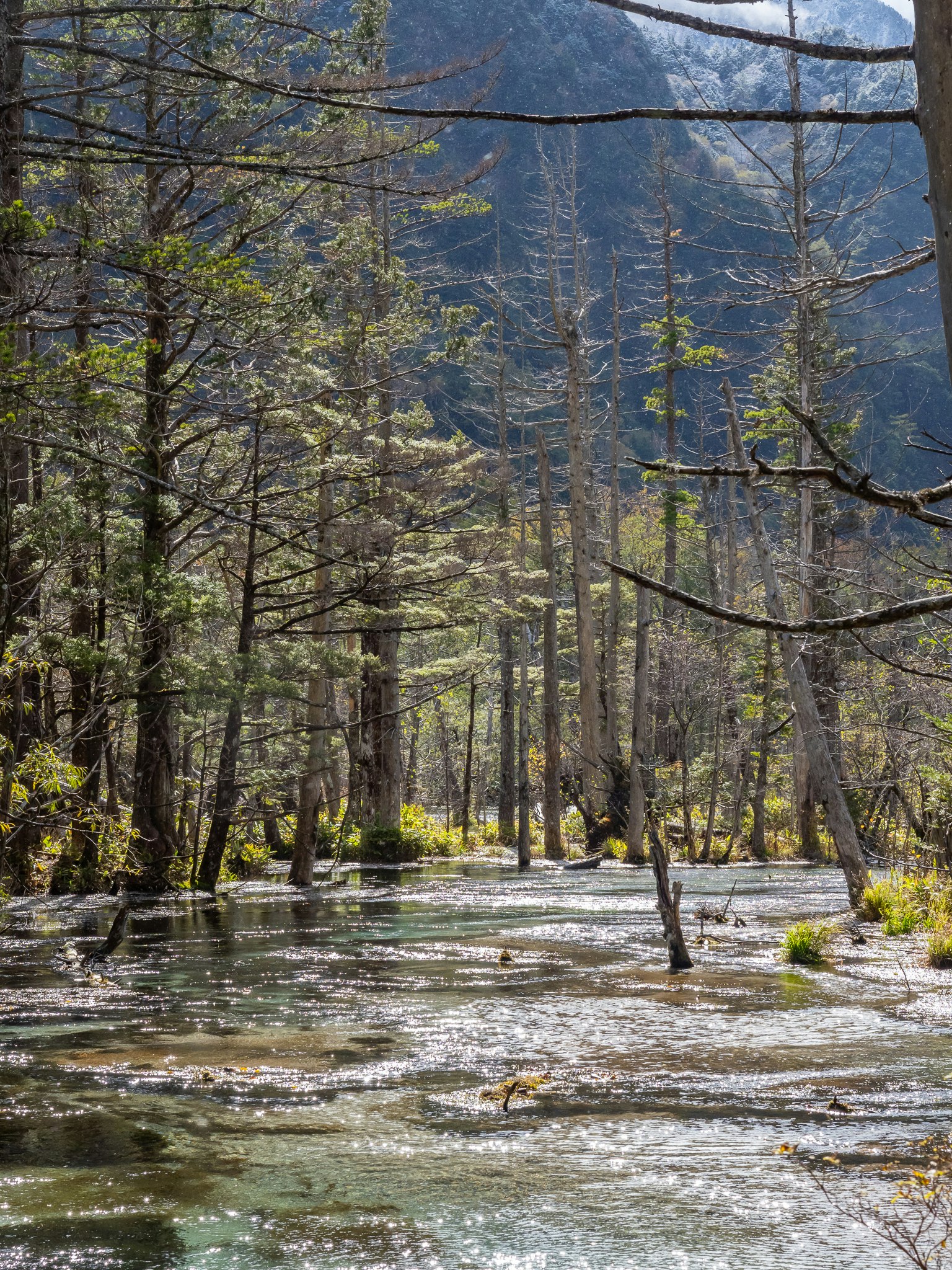 Scenic view of a waterway surrounded by trees