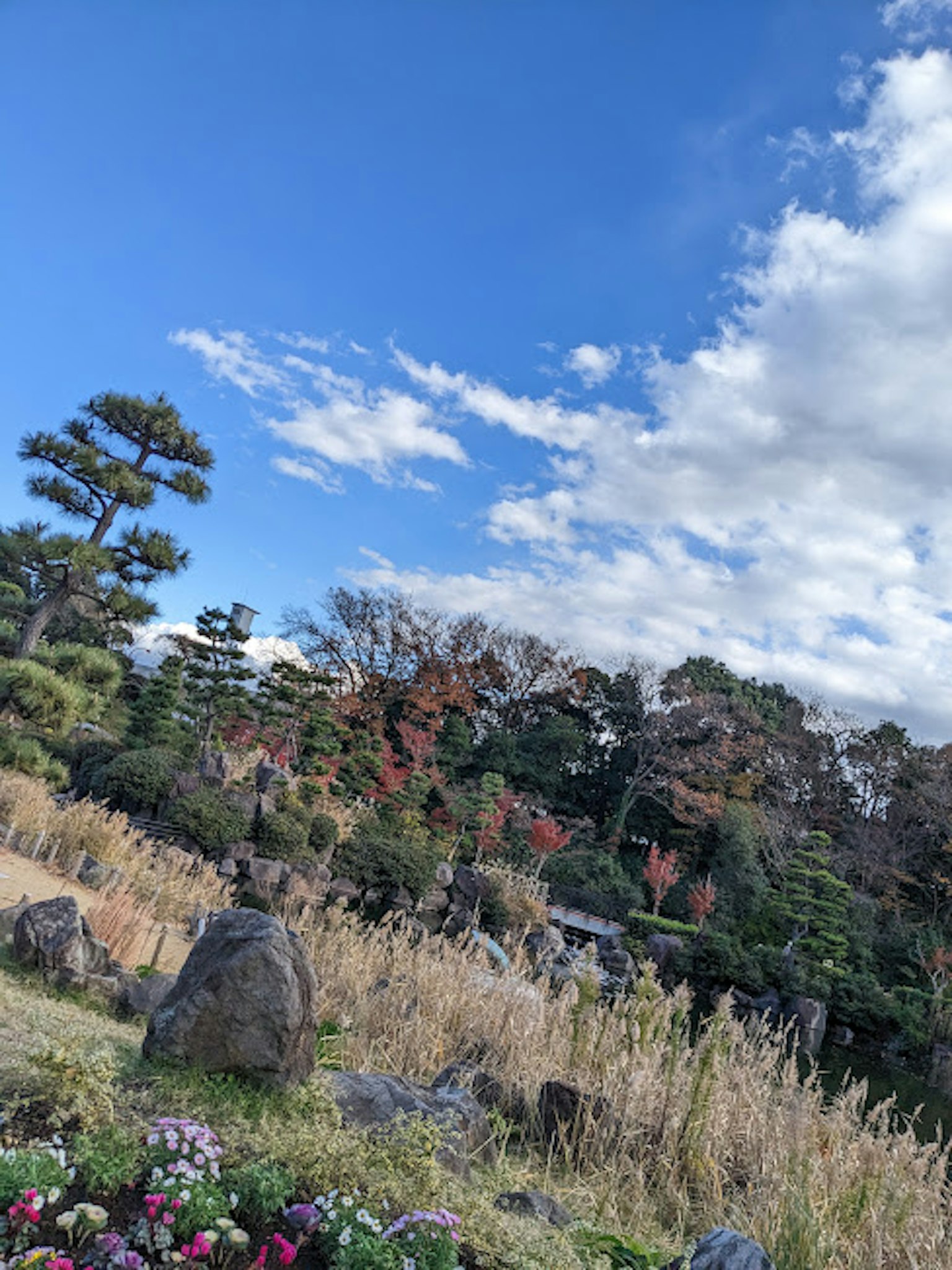 Vue pittoresque d'un jardin japonais avec ciel bleu et nuages incluant des pierres et des fleurs