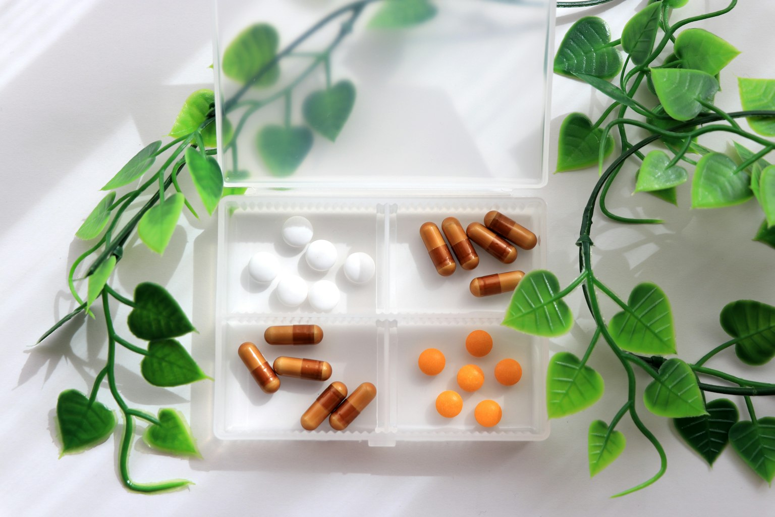Organizer per pillole trasparente con compresse bianche pillole arancioni e capsule marroni circondate da foglie verdi