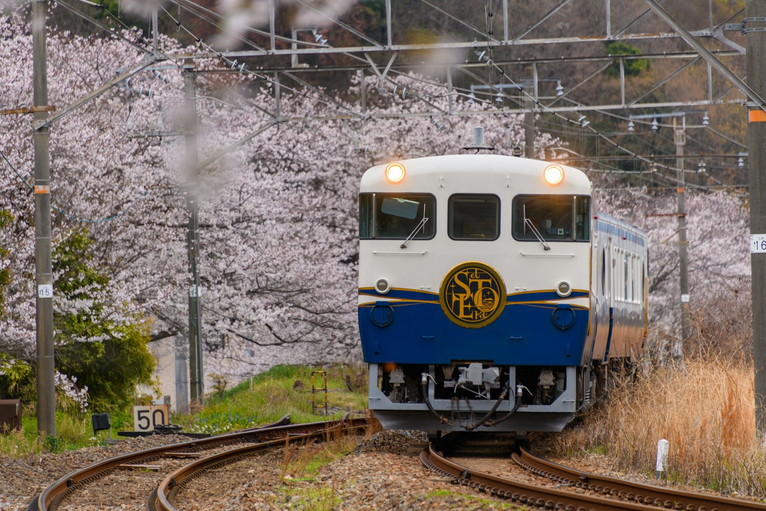 photo-6nR4jWtYCoDEZ6Gy2x9B-image