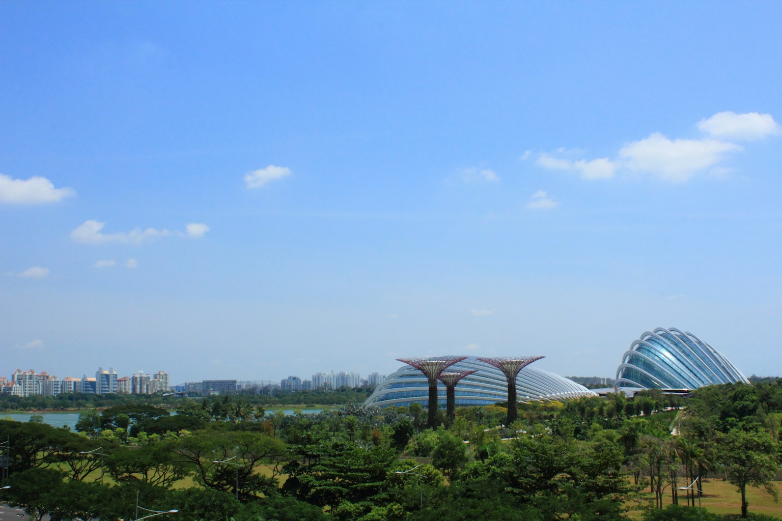 Schöne Landschaft der Gardens by the Bay in Singapur mit blauem Himmel und üppigem Grün