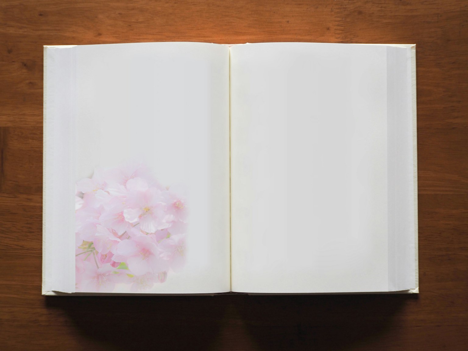 Open blank notebook with pink cherry blossom petals in the lower left corner