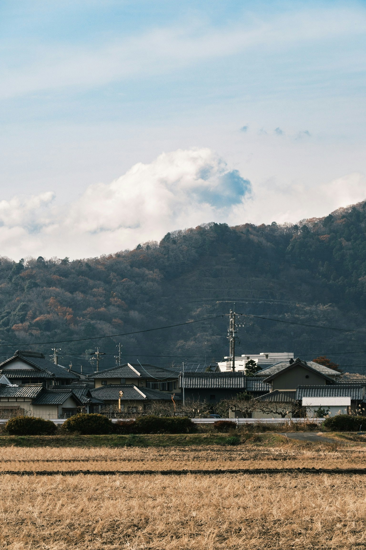 田野前景下的山脉与传统民居乡村景色