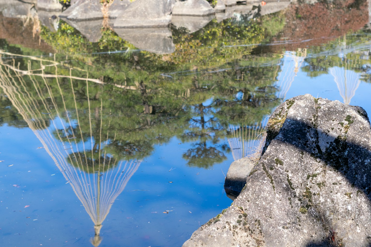 Refleksi pohon dan batu di permukaan air