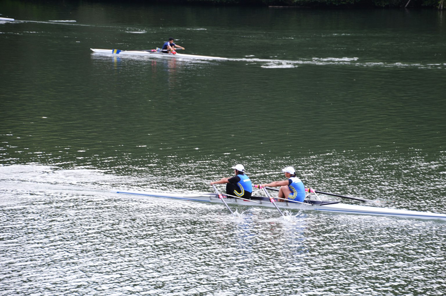 Dos remeros en un bote remando en un río tranquilo
