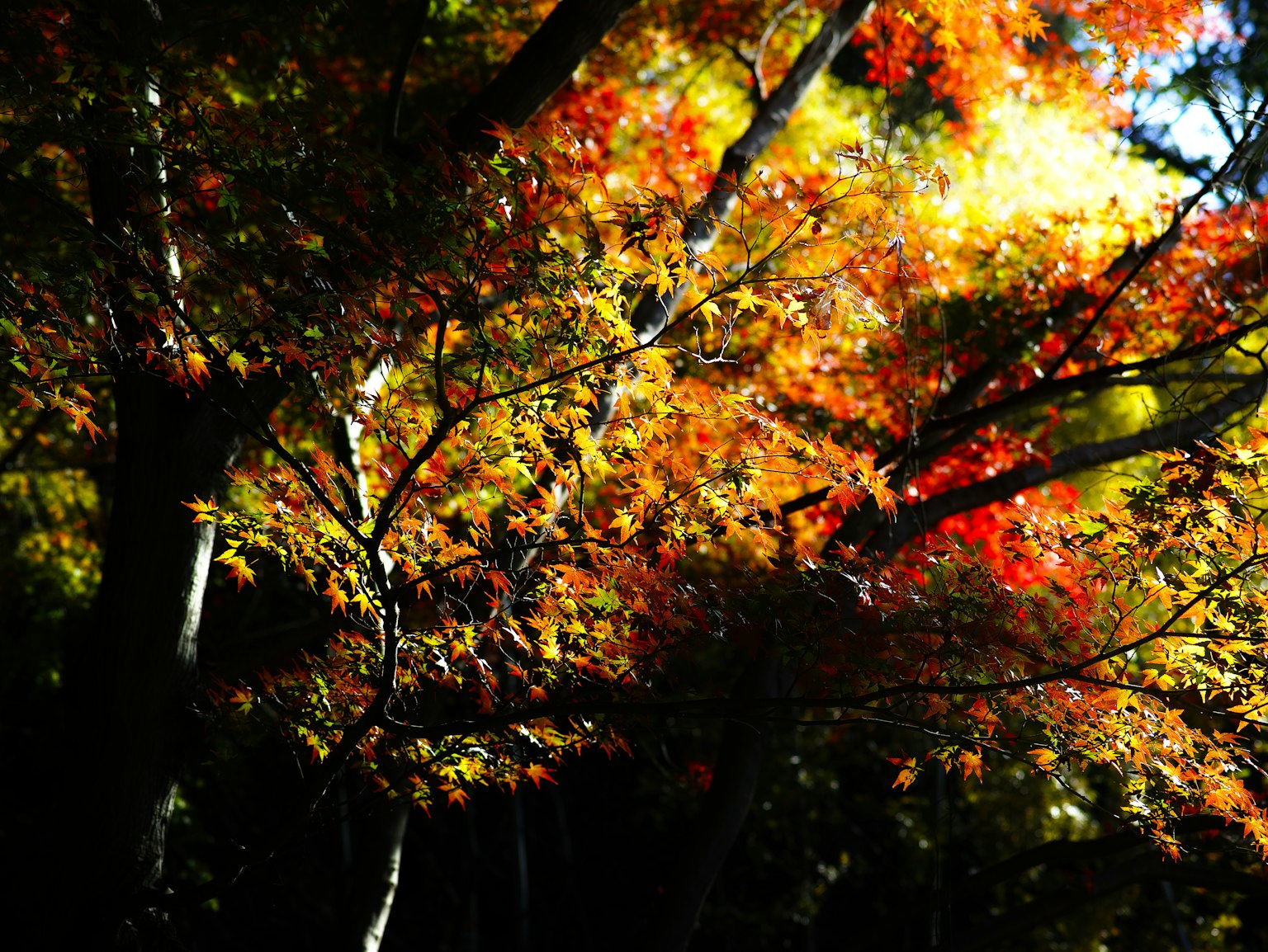 photo-6onBRnMs6SsB0Oad3vED-image