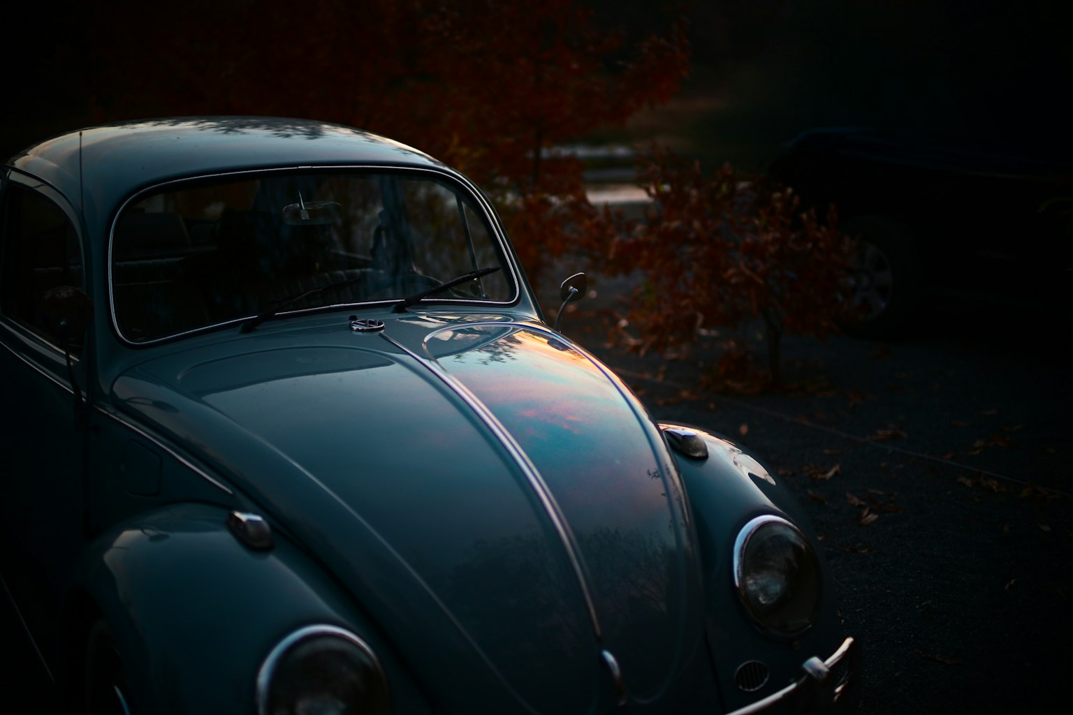青いビートル車の近接ショット 背景に秋の葉が見える