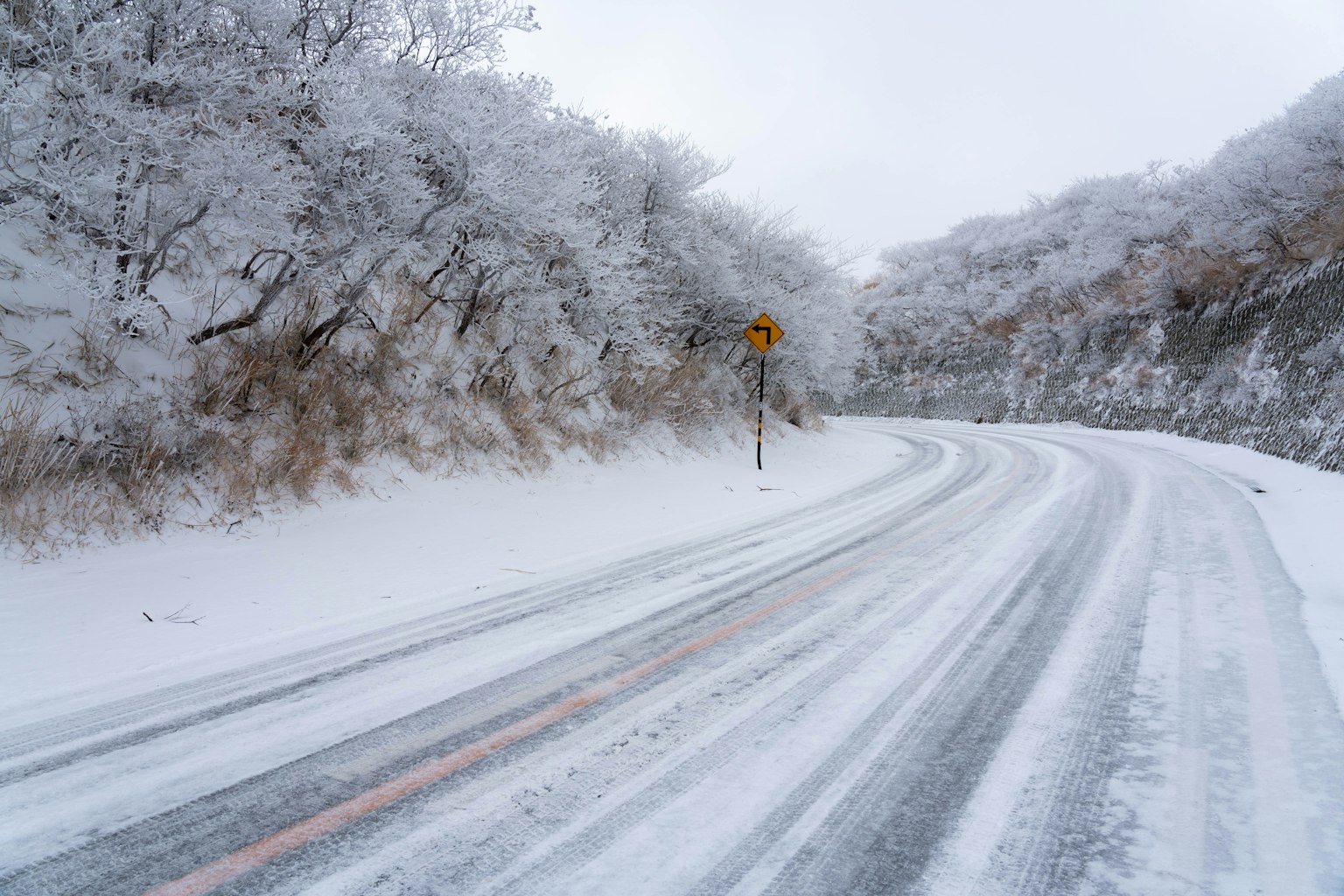 Kurvenreiche Straße mit schneebedeckten Bäumen im Winter