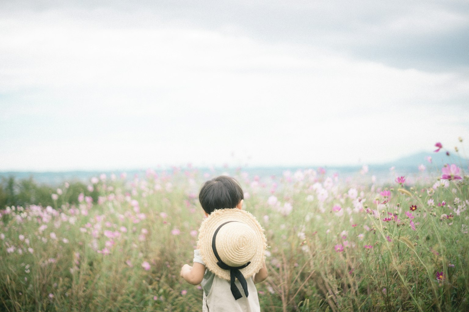 孩子拿着草帽看着花田